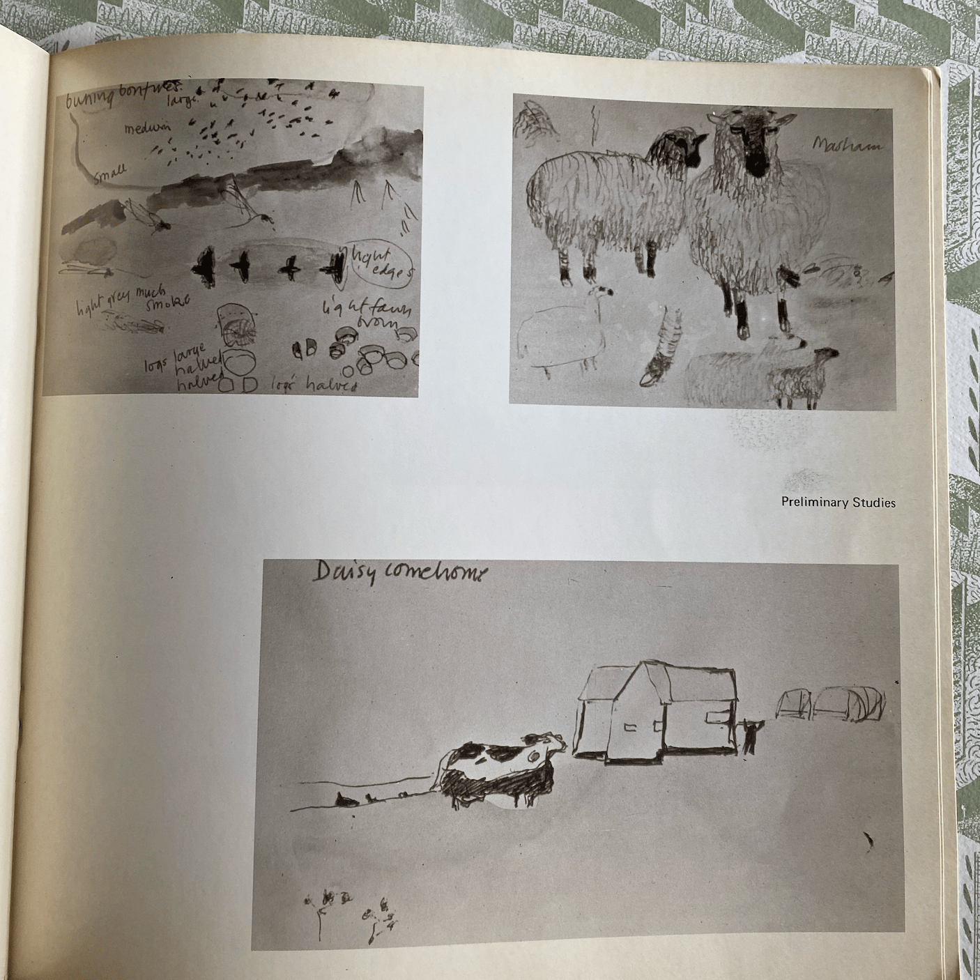 Mary Newcomb: Drawing from Observation by Tessa Newcomb